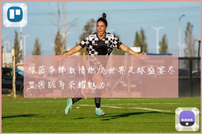 绿茵争锋激情燃烧世界足球盛宴尽显团队与荣耀魅力