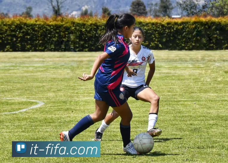 世界杯FIFA发展历程