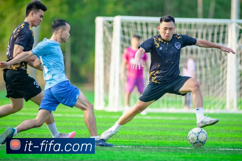 世界杯FIFA服务体系